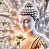kim_an7.7