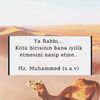 zor.adam37