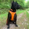 missbettysadventures