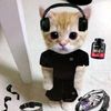 mishka_m1shanya