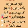 user5oswbyzwse