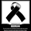 oraliaeflores