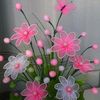 user194920246