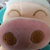 rogerleonel_ing06