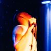 royalmarquis