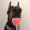 aabbrraaoo