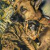 Harley, Rocco & Luna🌹😻🐶🌹