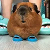 krxppxs
