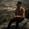 88_h.s