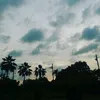 nrainzr