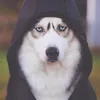 usernvjr3passs