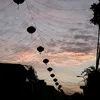 smurfie_317