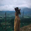 jiiniilisaa