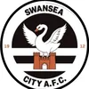 swansea_talk