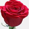 saad10453