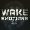 wake_emotions