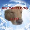 dawgboi8