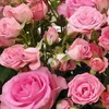 user6050191712312