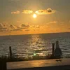 themonkey_abdul