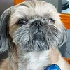 reginahouloff