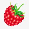 razzberry_mango