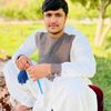 nasirkhan8731