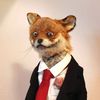 vic_fernantula