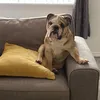 henry_2018_