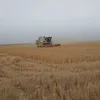 akeelareb