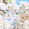 usersq4wofl4qw
