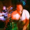 palamino.live