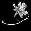 user6414118018050