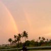 alika_8759