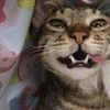 ilove.marinette