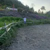 luc_kien_cuong