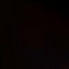 bryan_sp.14