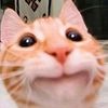 .jaccooob