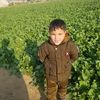 zaib.7426