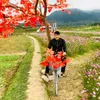 phantiep0711