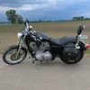 zockerleon_426