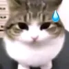 user4k8i1ka7xa