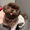 rottimuchang