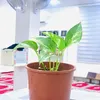 hxshih743