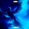 sabat171206