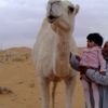 shathaa_911