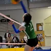 fede__pala_