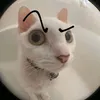 mamasoyn