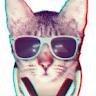 catman004