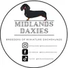 midlandsdaxies