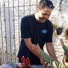 1pelotudocualquiera